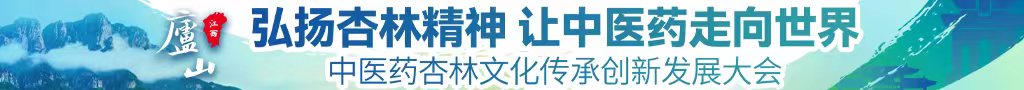 大鸡巴日比中医药杏林文化传承创新发展大会